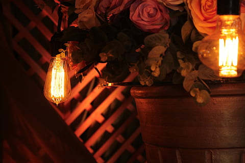 imperatriz, brazil, ceiling, classic, dark, decor, design, edison bulb HD wallpaper