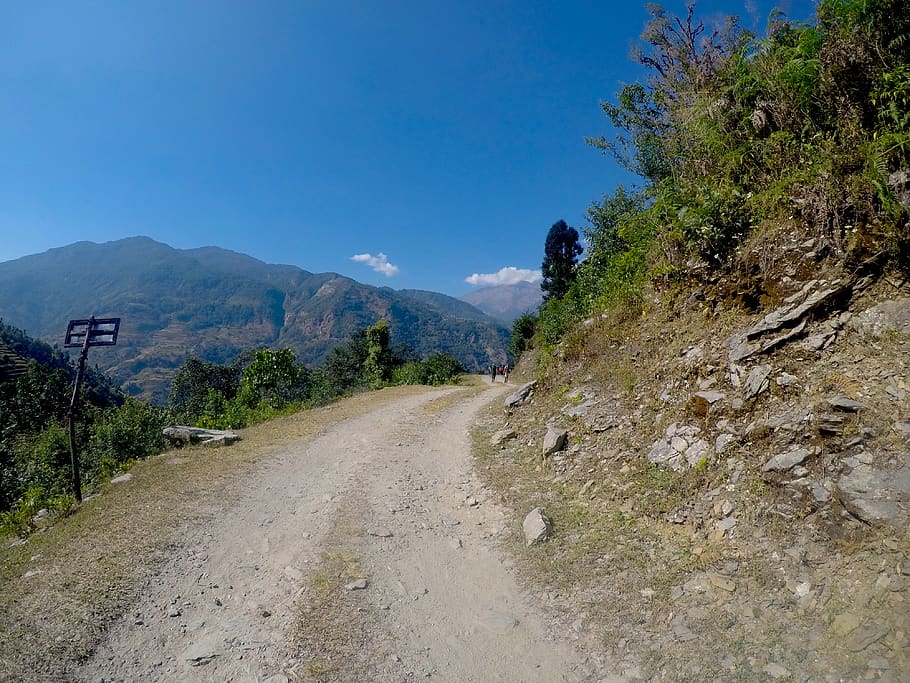 nepal, pohkara, plant, tree, sky, mountain, scenics - nature HD wallpaper