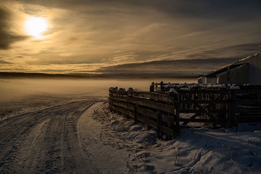 Brown Wooden Fence, backlit, beach, clouds, cloudscape, country HD wallpaper
