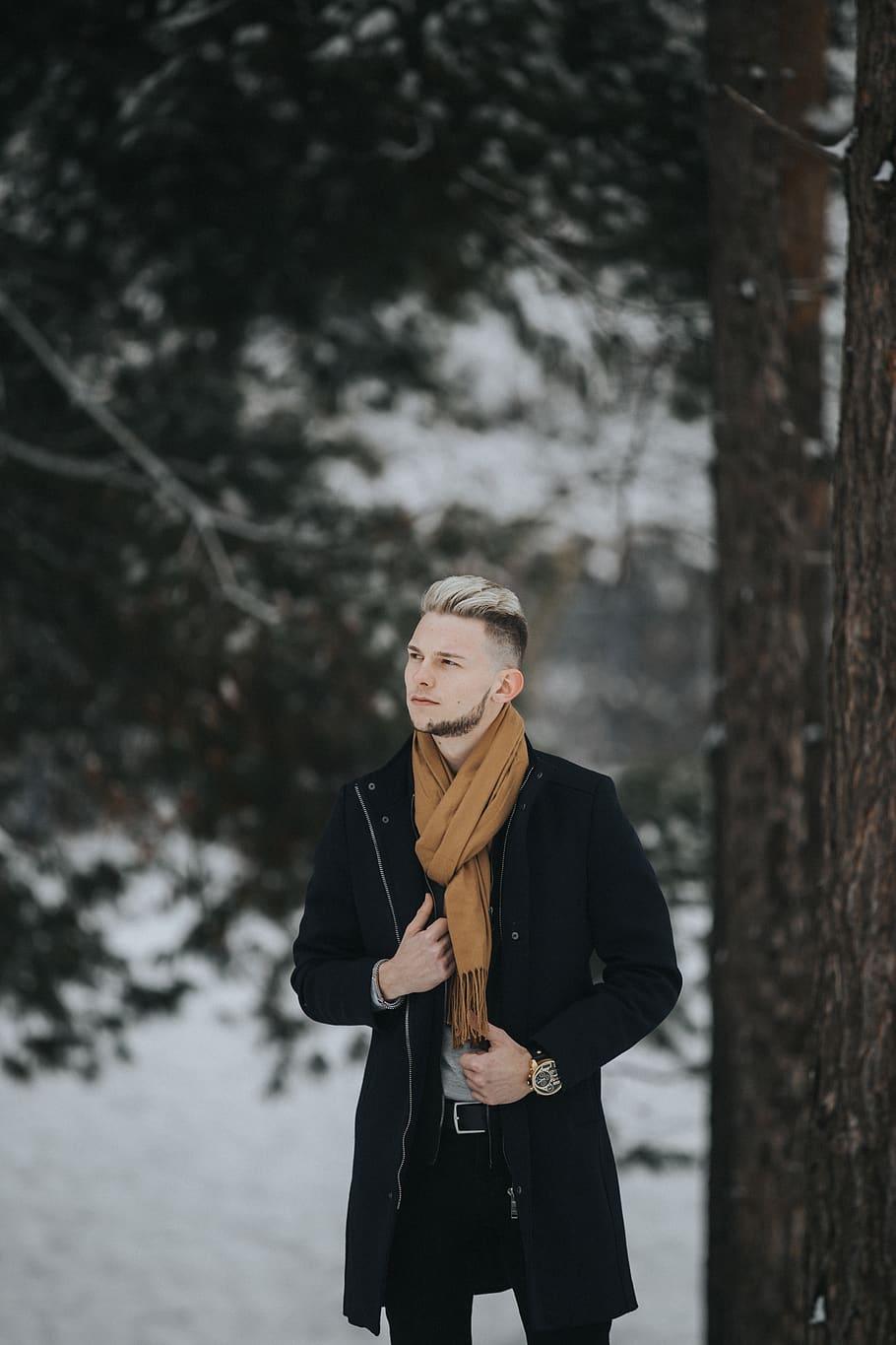 man standing beside tree, apparel, clothing, coat, overcoat, person HD wallpaper