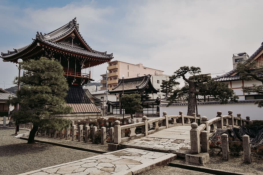 temple surrounded by trees, building, architecture, worship, shrine HD wallpaper