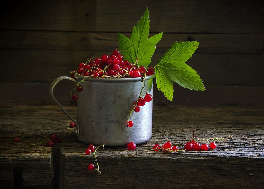 berry, currant, red, food and drink, fruit, berry fruit, healthy eating HD wallpaper