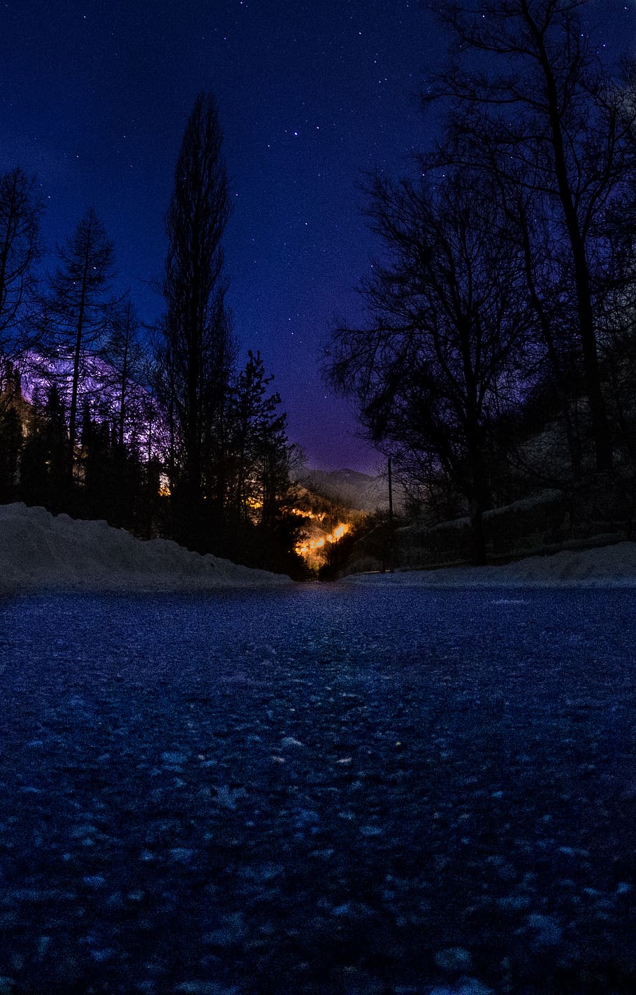 Road Between Trees, dark, night, perspective, silhouette, plant HD wallpaper