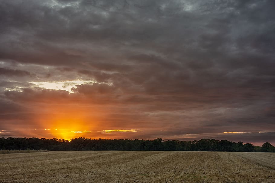 landscape, field, meadows, sunset, nature, prairie, sky, summer HD wallpaper