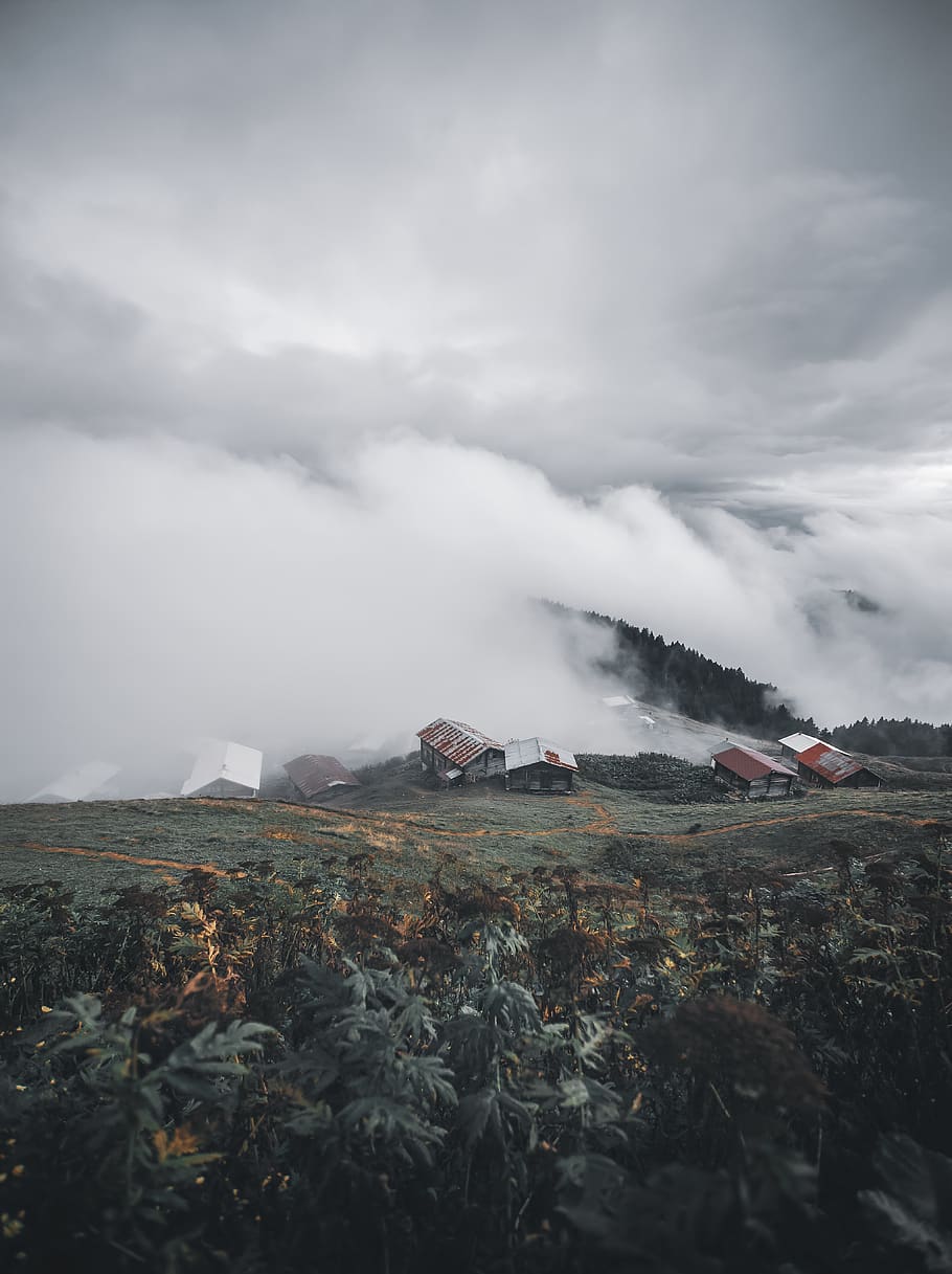 foggy Mountain, bird's eye view, clouds, cloudy, daylight, environment HD wallpaper