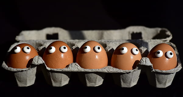 egg, egg box, egg carton, eggs heads, funny, sweating, society HD wallpaper