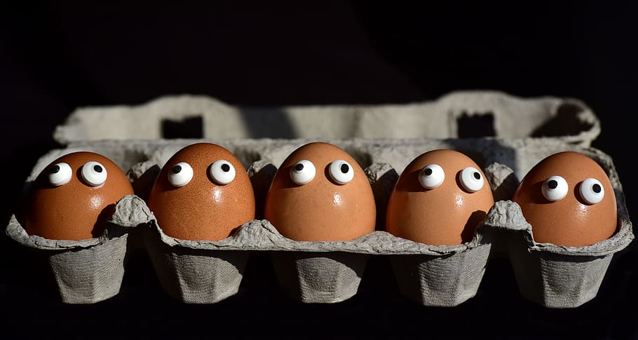egg, egg box, egg carton, eggs heads, funny, sweating, society HD wallpaper