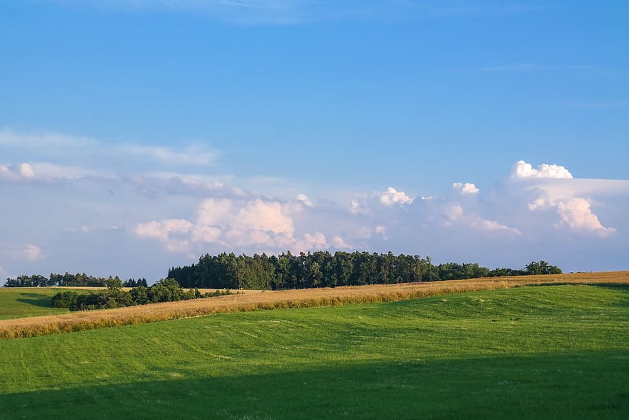 landscape, meadow, field, sky, clouds, nature, rural, green HD wallpaper