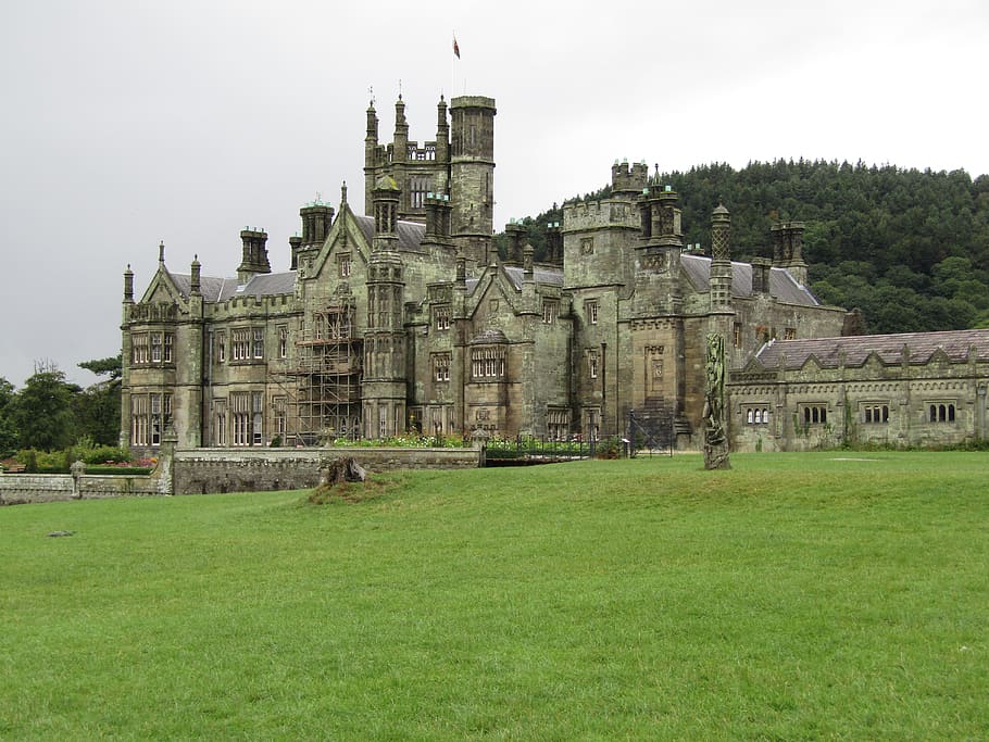 castle, old, stone, built structure, architecture, grass, building exterior HD wallpaper