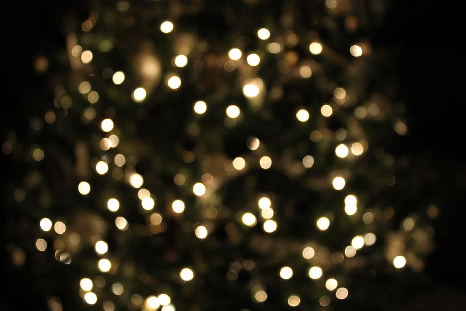 christmas, tree, lights, bokeh, festive, shining, illuminated HD wallpaper