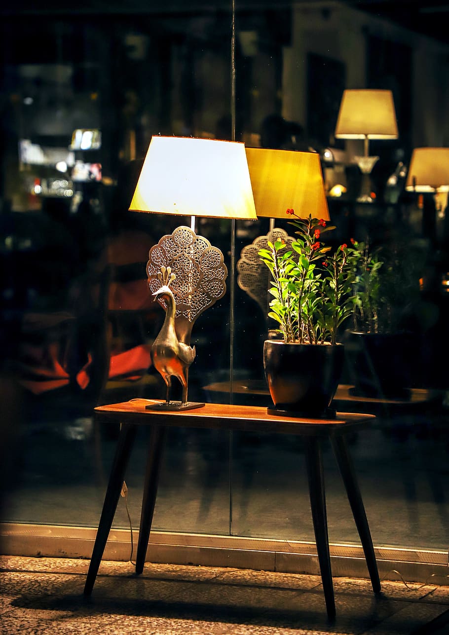 iran, tehran, sam café, coffetable, flower, peacock, samcafe HD wallpaper