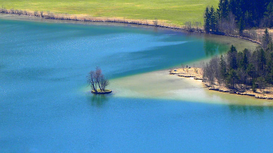 Areal View Of Body Of Water And Trees, bird's eye view, daylight