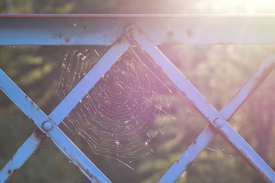 frame, web, bridge, spider web, focus on foreground, metal HD wallpaper