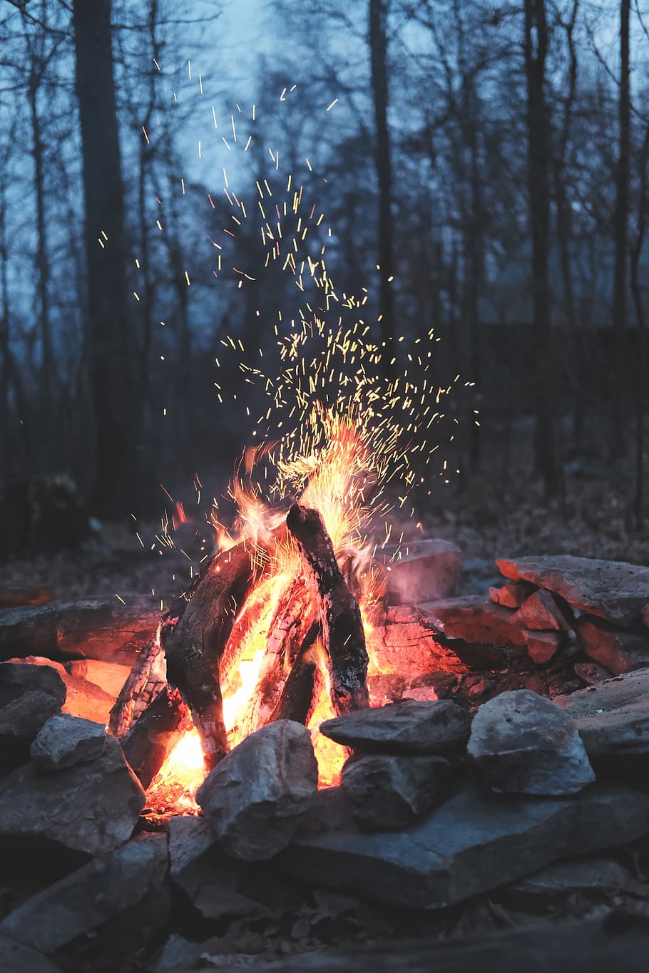 bonfire on forest, burning, fire - natural phenomenon, heat - temperature HD wallpaper
