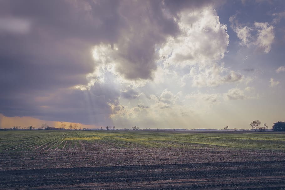 Photo of Green Field Under Cloudy Sky, clouds, cropland, daylight HD wallpaper