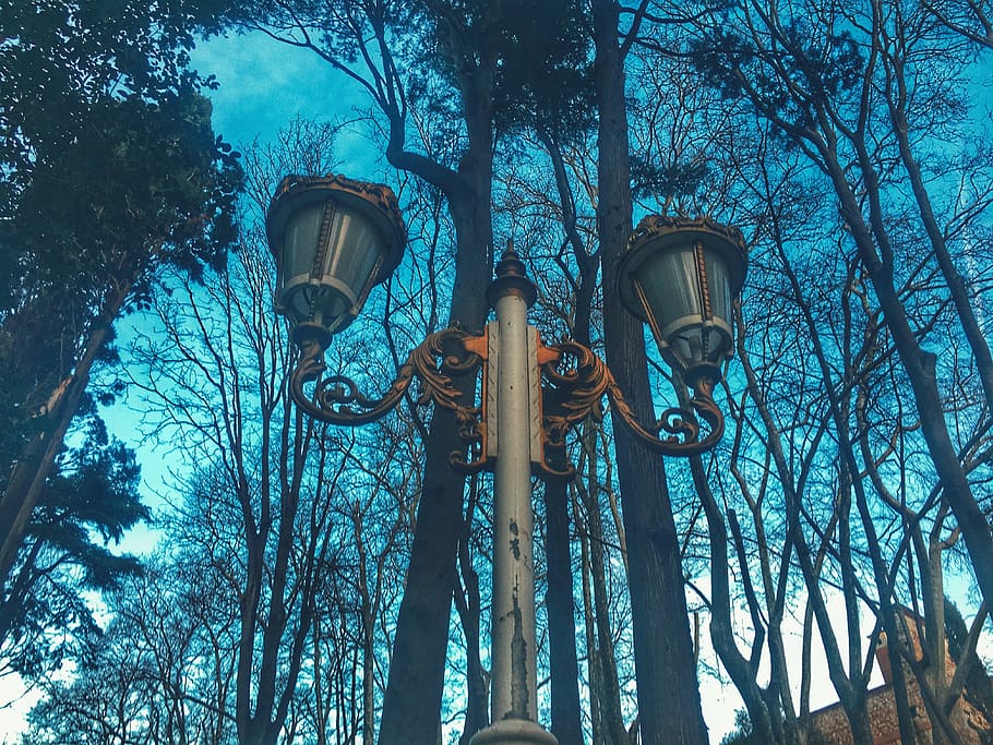 lamp post, symbol, cross, turkey, cankurtaran mh., Tree, Gülhane, HD wallpaper