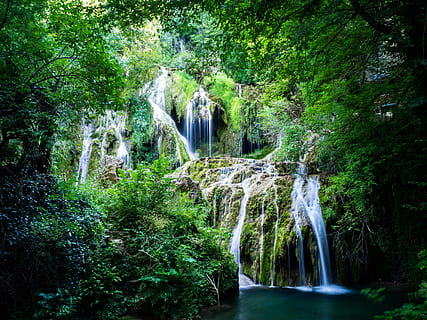 green-leafed trees during daytime, water, nature, river, outdoors HD wallpaper