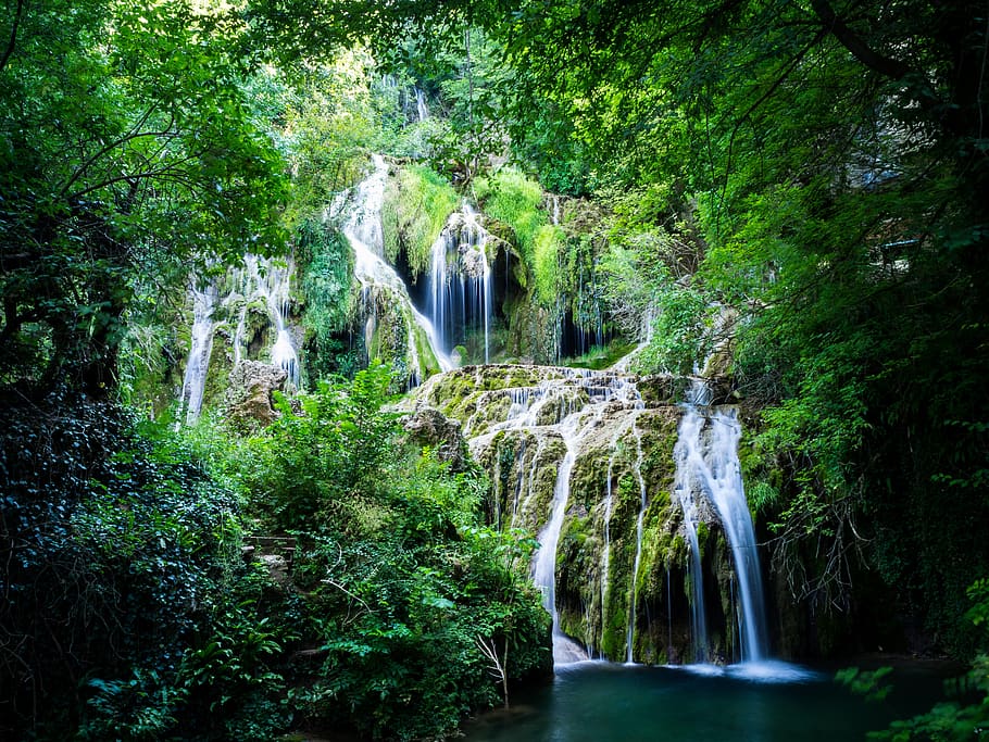 green-leafed trees during daytime, water, nature, river, outdoors HD wallpaper