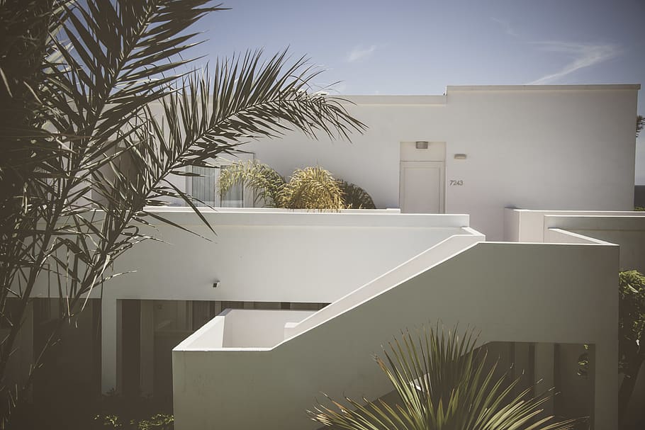 white bulding, plant, banister, handrail, building, tree, housing HD wallpaper