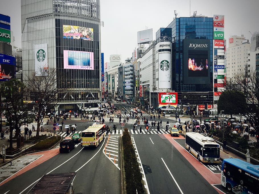 japan, shibuya-ku, shibuya station, sibuya, starbucks, street, HD wallpaper