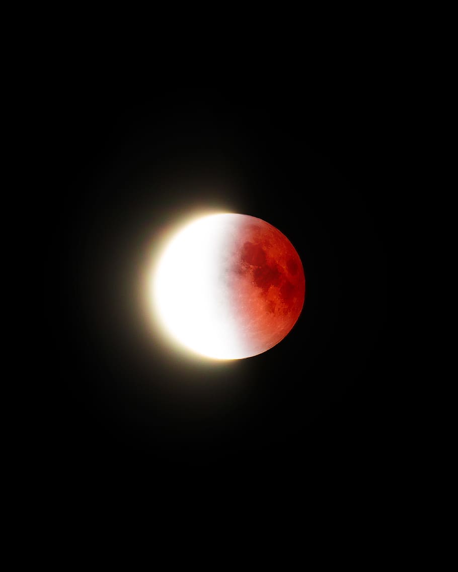 white moon, sky, blood moon, eclipse, lunar, looking up, night HD wallpaper