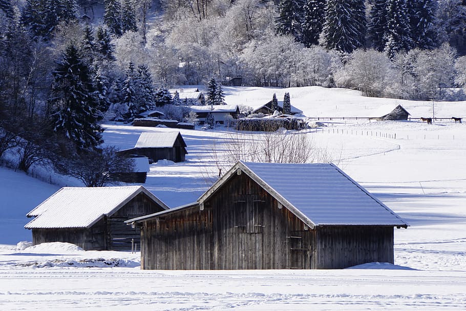 wintry, winter, snow, nature, cold, landscape, snowy, winter magic HD wallpaper