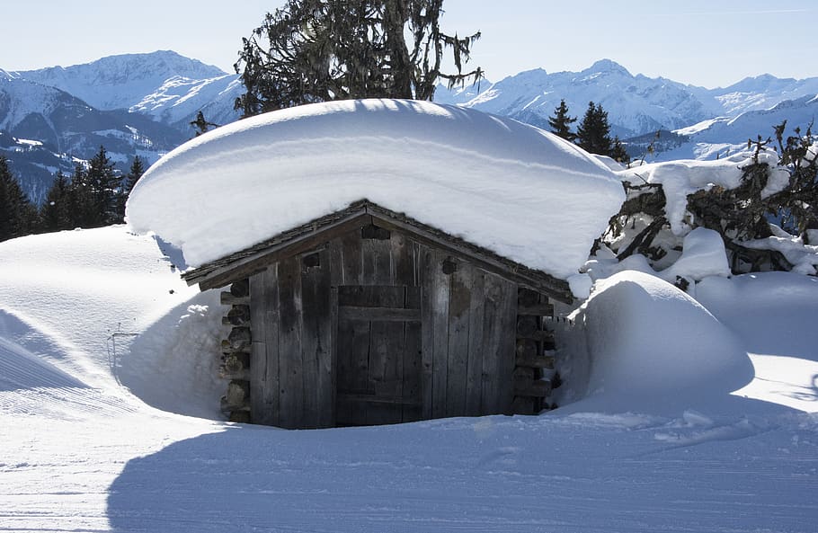snow, winter, cold, ice, mountain, nature, wood, landscape HD wallpaper