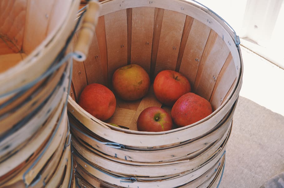 apple, basket, apple picking, collection, fun, friends, apple orchard HD wallpaper