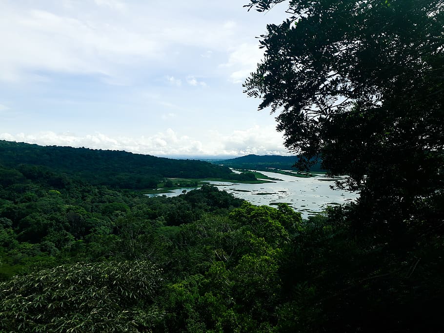 view, river, panama, nature, trees, sky, plant, beauty in nature HD wallpaper