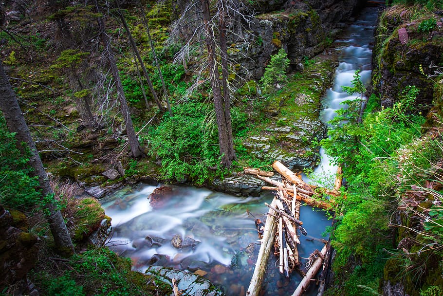 waterfall nature, forest, tree, plant, scenics - nature, land HD wallpaper