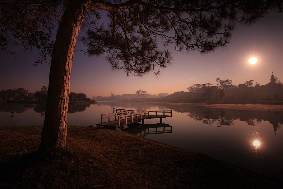 Brown Wooden Dock Near Trees during, dawn, dusk, evening, lake HD wallpaper