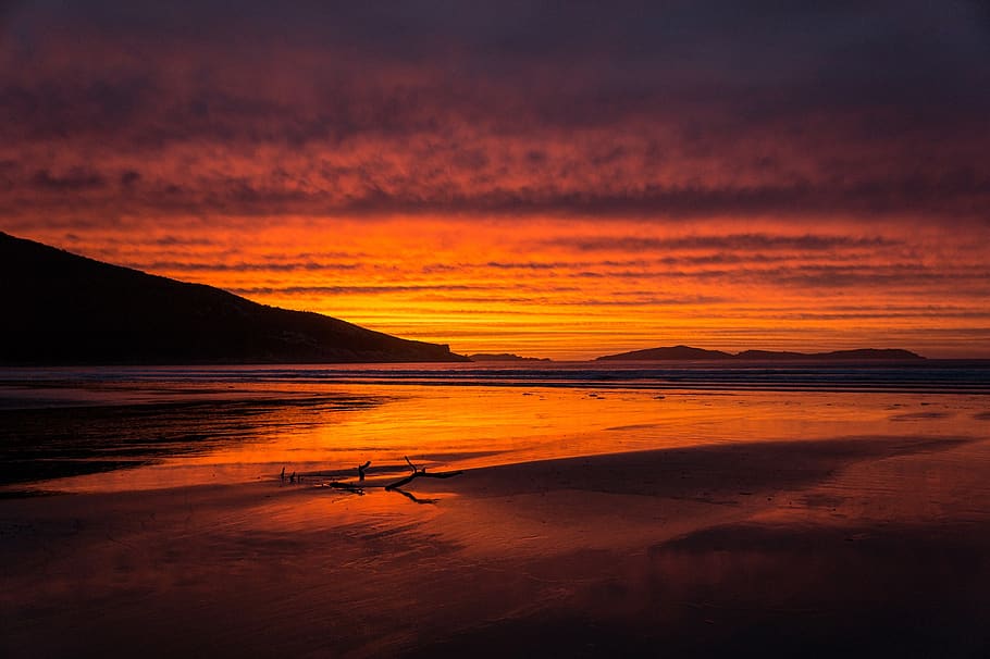 sunset, coastline, beach, sand, waves, silhouettes, seashore HD wallpaper
