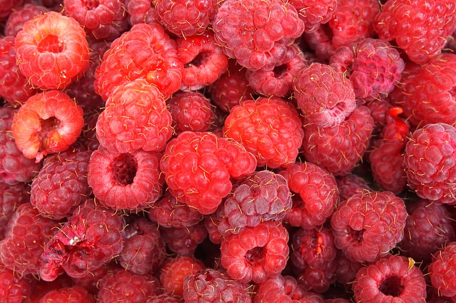 fruit, raspberry, food, dessert, sweetness, healthy, healthy eating HD wallpaper