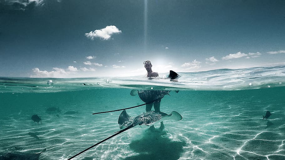 man in ocean under blue sky at daytime, sea, water, underwater HD wallpaper