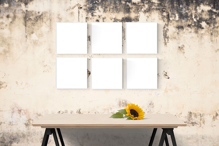 poster, frame, wall, desk, sunflower, flowering plant, window HD wallpaper