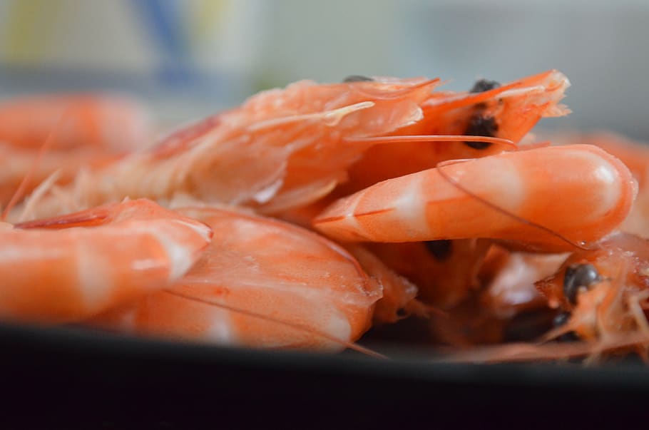 scampi, cooking, frutti di mare, fish, food and drink, seafood HD wallpaper