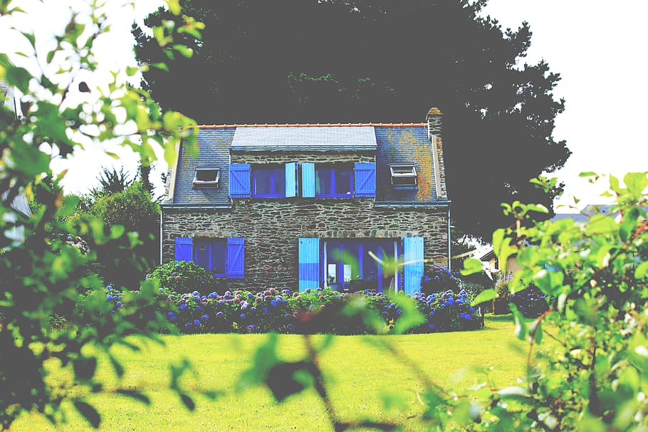 france, groix, plant, architecture, built structure, building exterior HD wallpaper