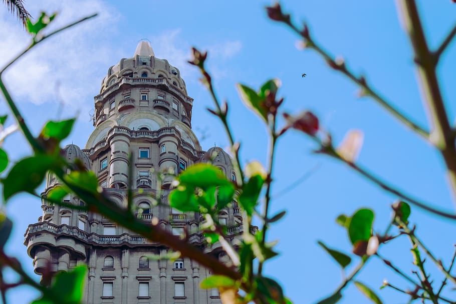 uruguay, montevideo, palace, low angle view, plant, building exterior HD wallpaper