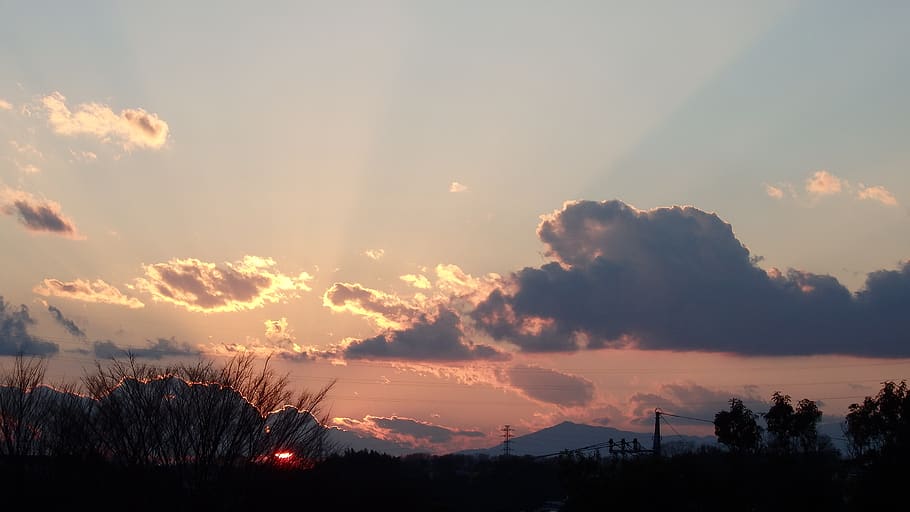 nature, sunset, cloud, sky, cloud - sky, tree, beauty in nature HD wallpaper