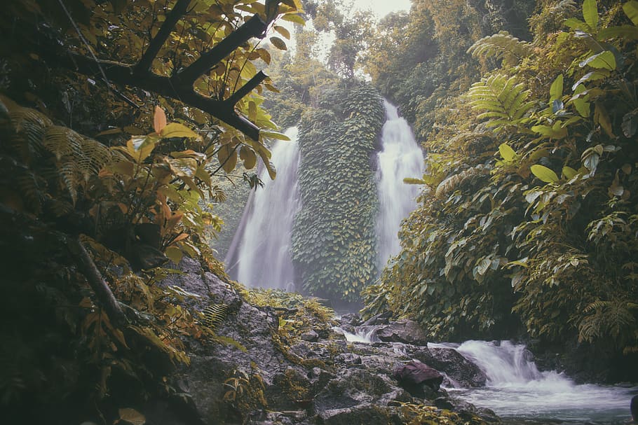 Photo of Falls Surrounded With Green Trees, daytime, environment HD wallpaper