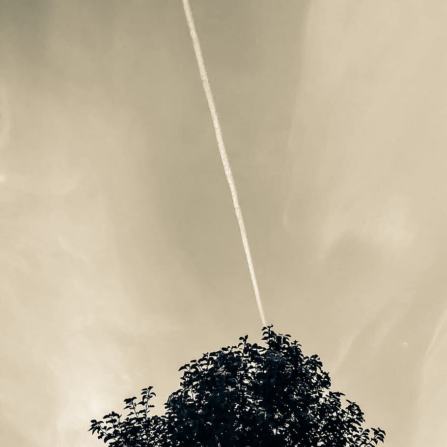 Green Leaf Tree Under Cloudy Sky, black and white, clouds, dark clouds HD wallpaper