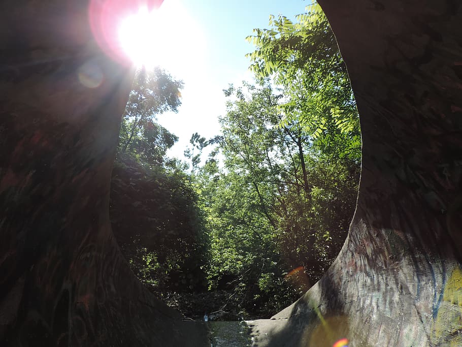canada, brampton, tree, plant, sunlight, nature, day, lens flare HD wallpaper