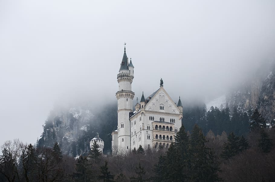 white castle, tree, fog, building exterior, built structure, architecture HD wallpaper