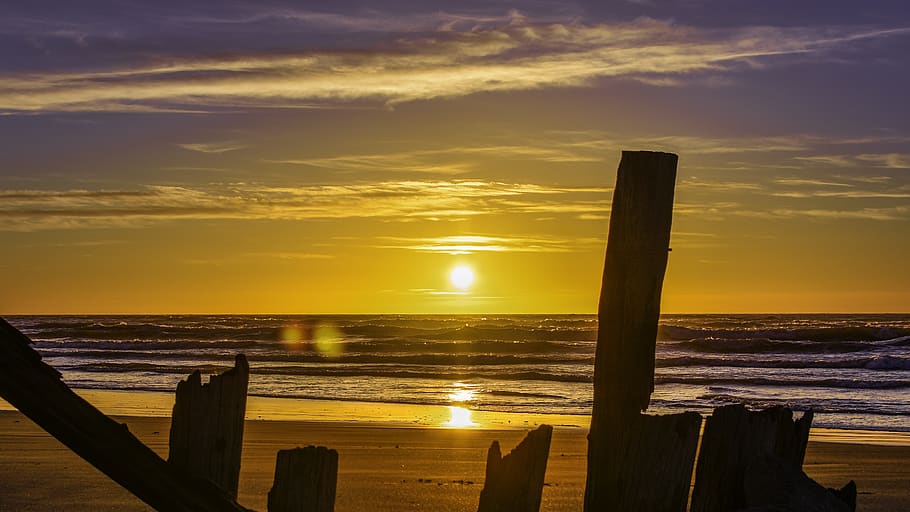 sunset, sea, evening, sunset sky, beach, peaceful, wildlife HD wallpaper