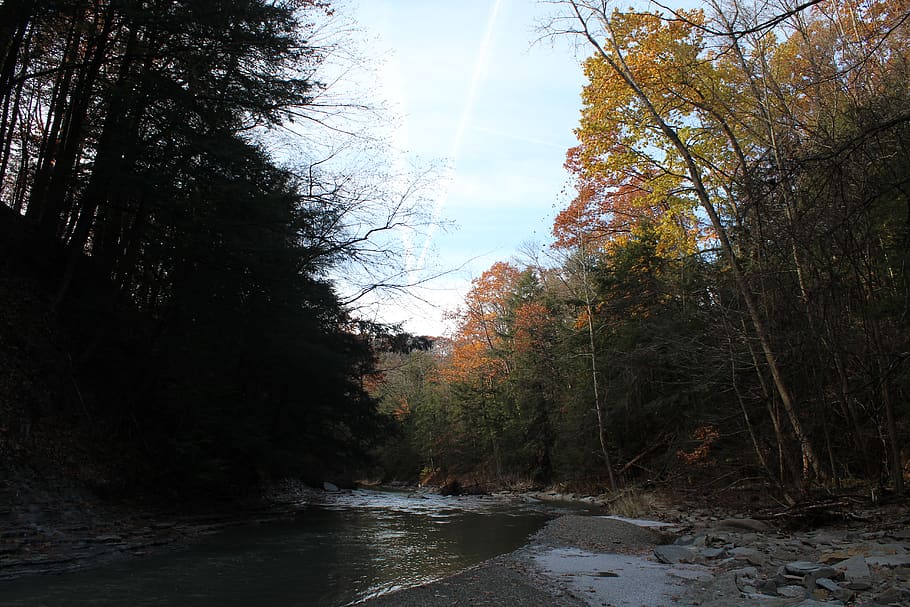 nature, creek, trees, fall, light, dark, valley, hike, hiking HD wallpaper