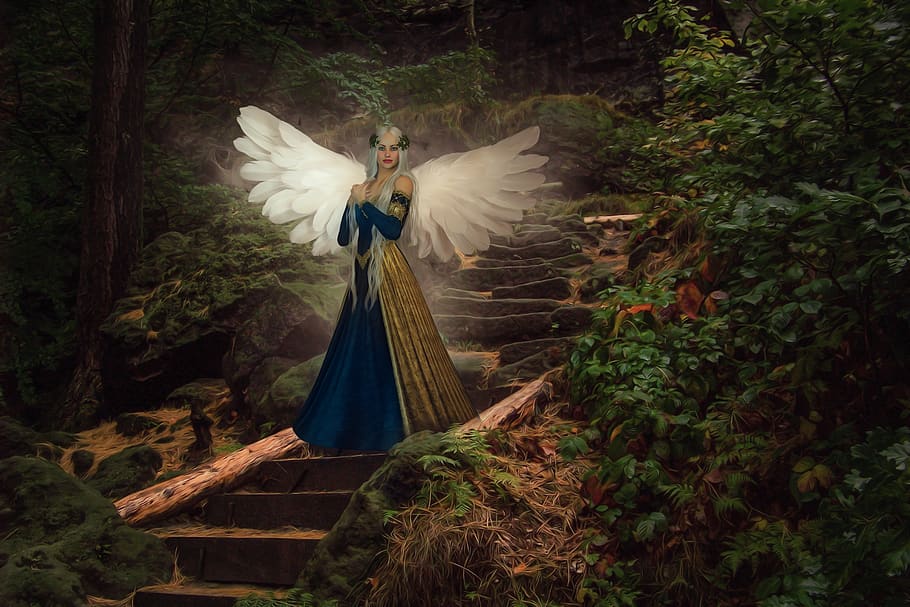 nature, fee, elf, wing, woman, fantasy, figure, fairytale, beautiful HD wallpaper