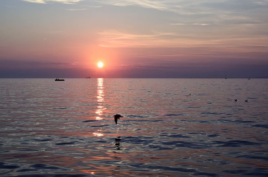 sunset, trieste, sea, water, italy, tranquility, summer, sky HD wallpaper