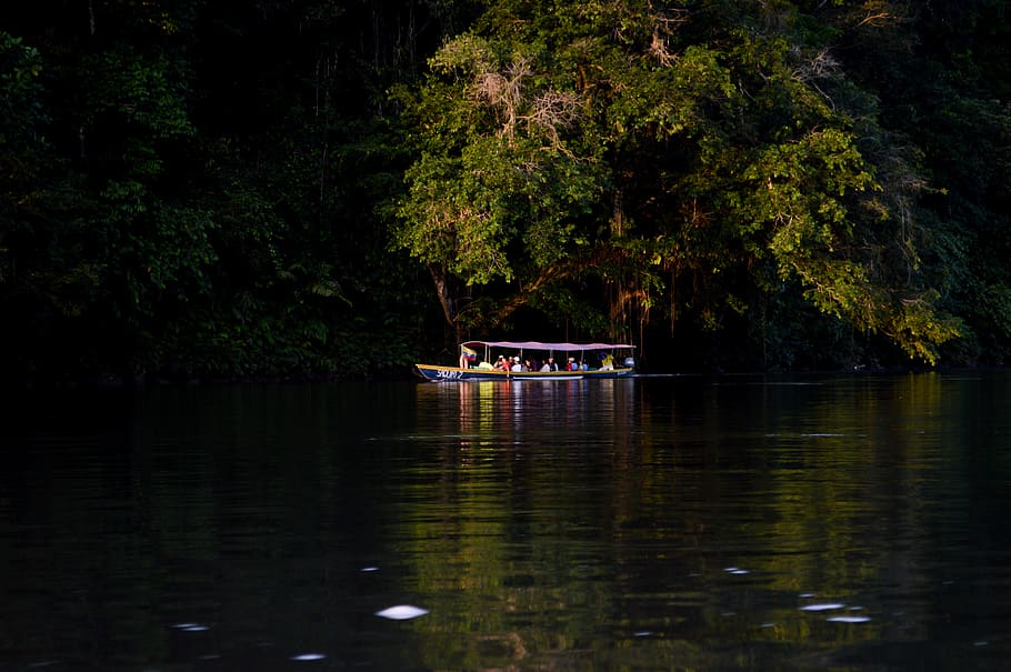 ecuador, trees, boat, lake, dark, river, boating, water, nautical vessel HD wallpaper