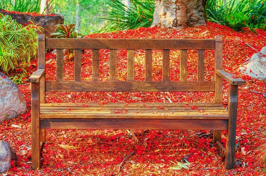 seat, tree, red, petals, colorful, nature, quiet, peaceful HD wallpaper
