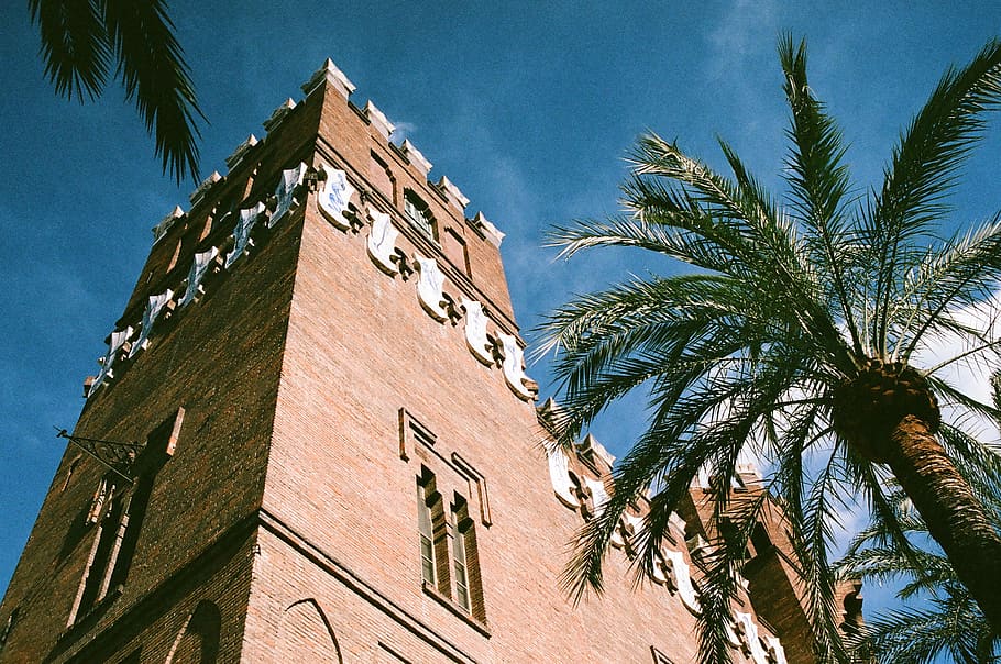 building exterior, built structure, tree, architecture, palm tree HD wallpaper